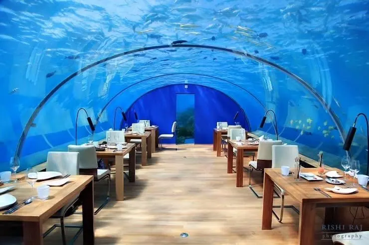 Unique Culinary Experiences Luxury Travelers Are Seeking in 2025
