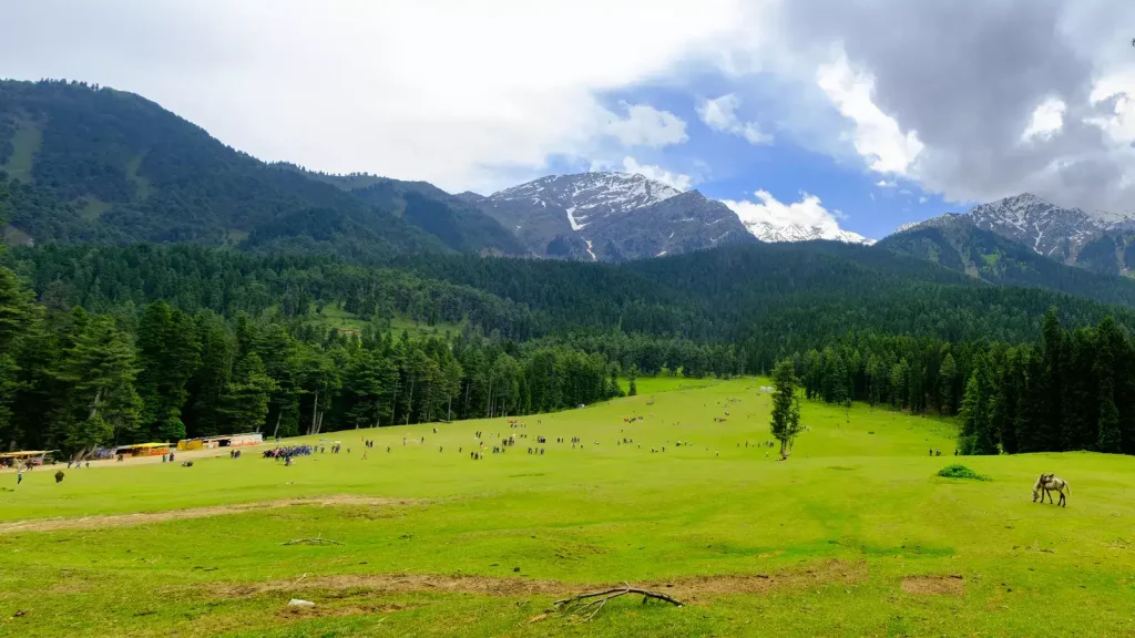 Financial Support Promises Revival for J&K Tourism Sector