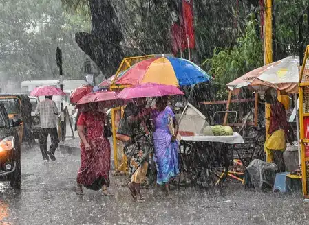 Tourist Attractions in Ooty Temporarily Closed Due to Heavy Rainfall