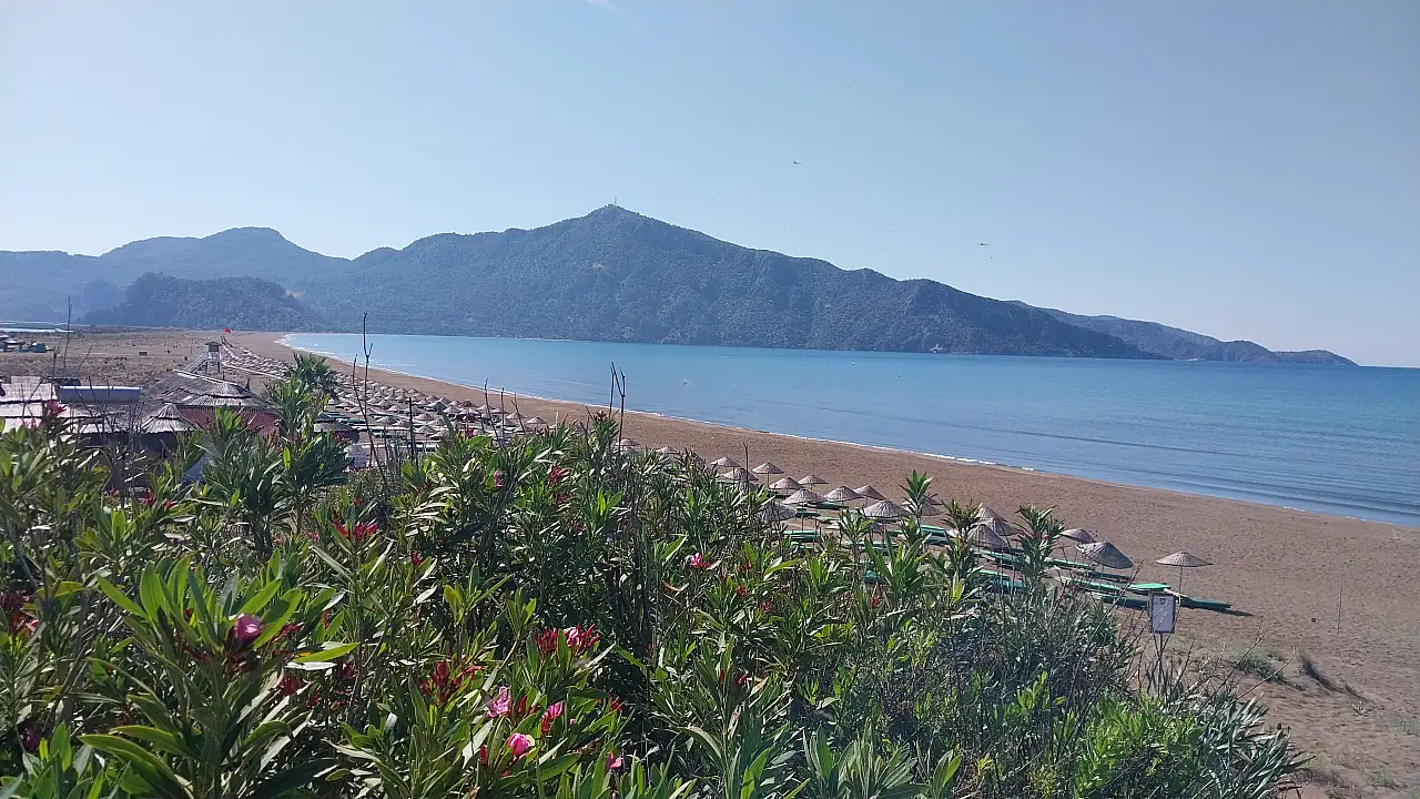 Recent Community Events and Highlights in Fethiye