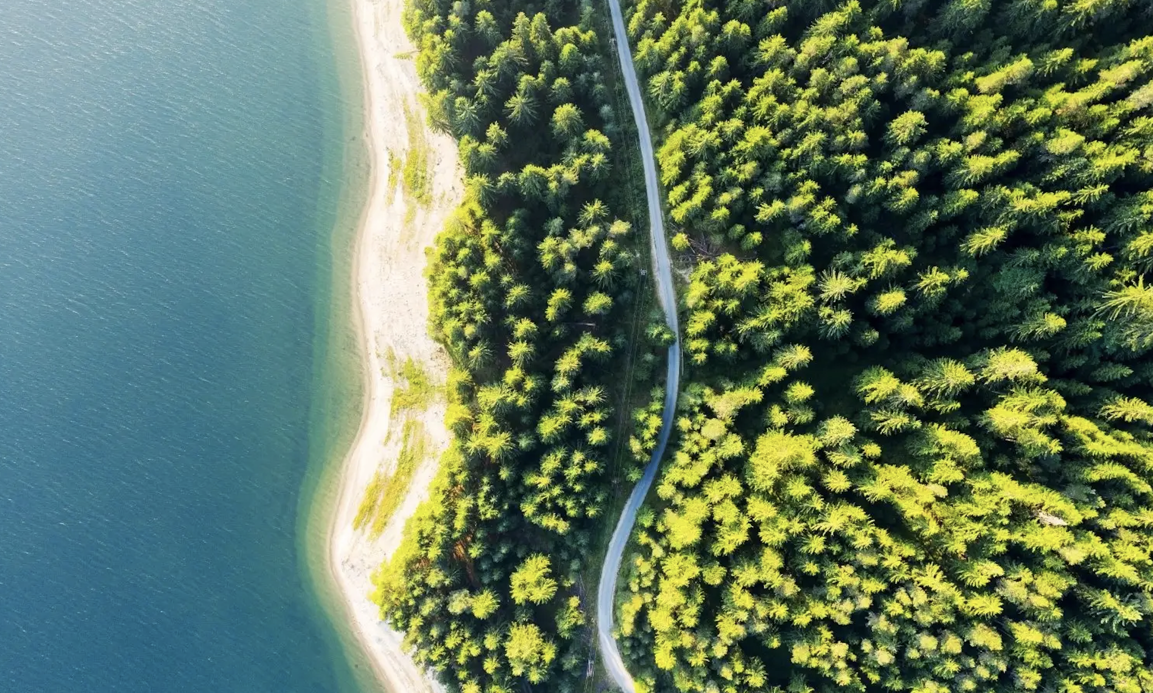 Revolutionizing Travel & Tourism with an ESG Policy Tracker from WTTC and Greenview