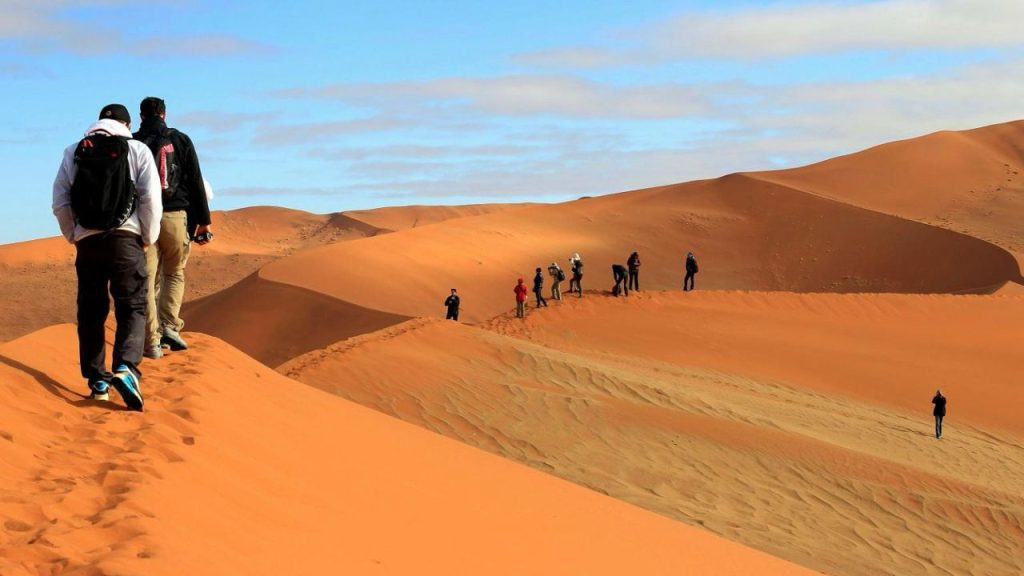 April 2025 Hotel Occupancy Rates Indicate a Rebound in Tourism