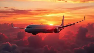 Airlines Project a Combined Profit of $36 Billion by 2025