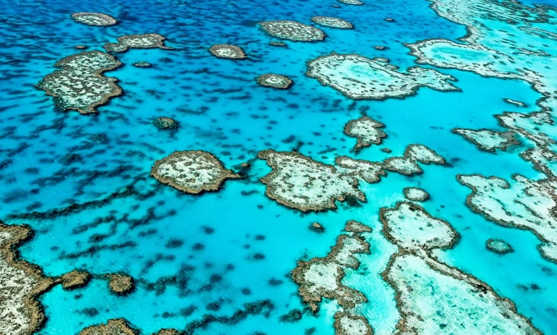 Australia’s Travel and Tourism Industry: A $315 Billion Contribution Forecast by 2025