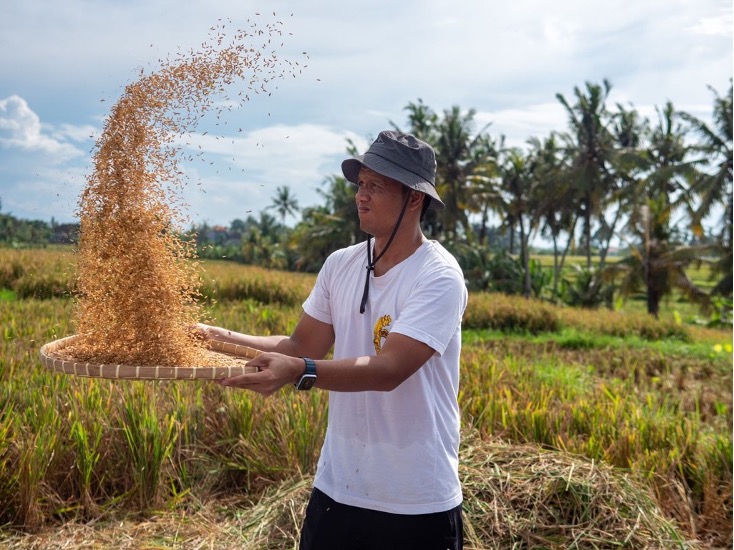 Exploring Purpose-Driven Travel Opportunities in Rice Farming