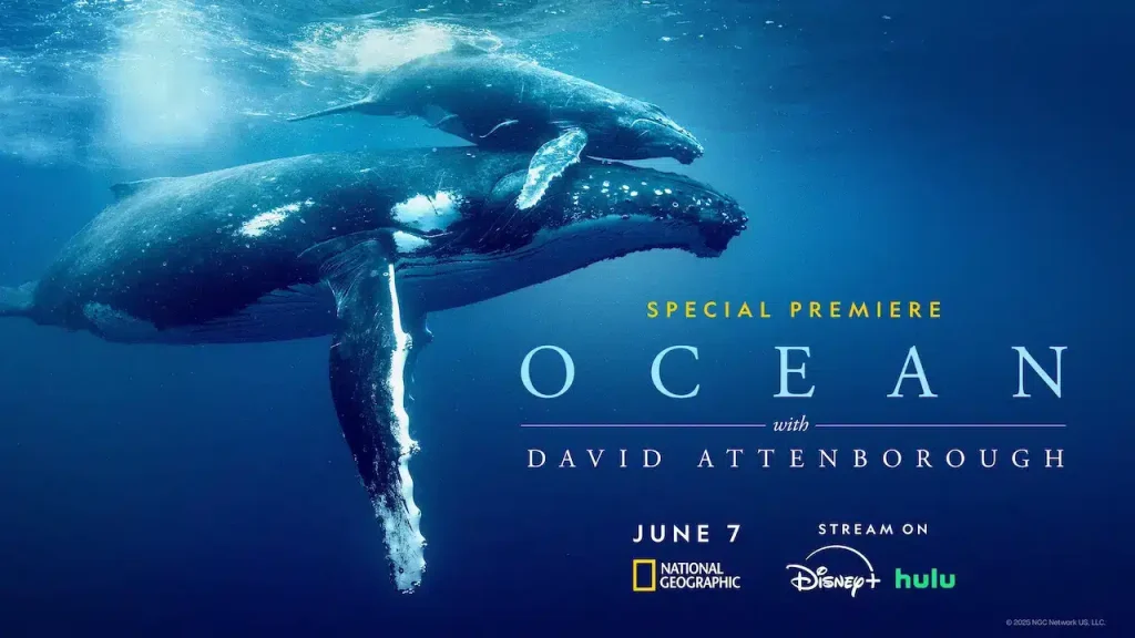 Celebrating the Ocean: A Call to Action for Preservation