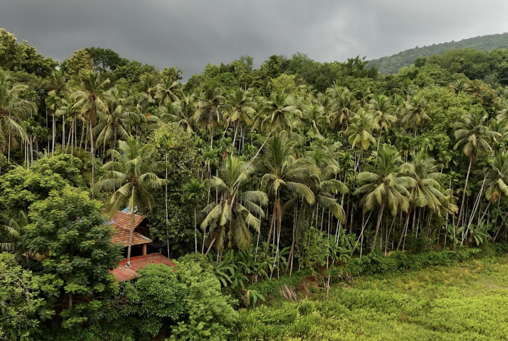 Goa’s #GlowOnArrival Campaign: Embracing Wellness During Monsoon