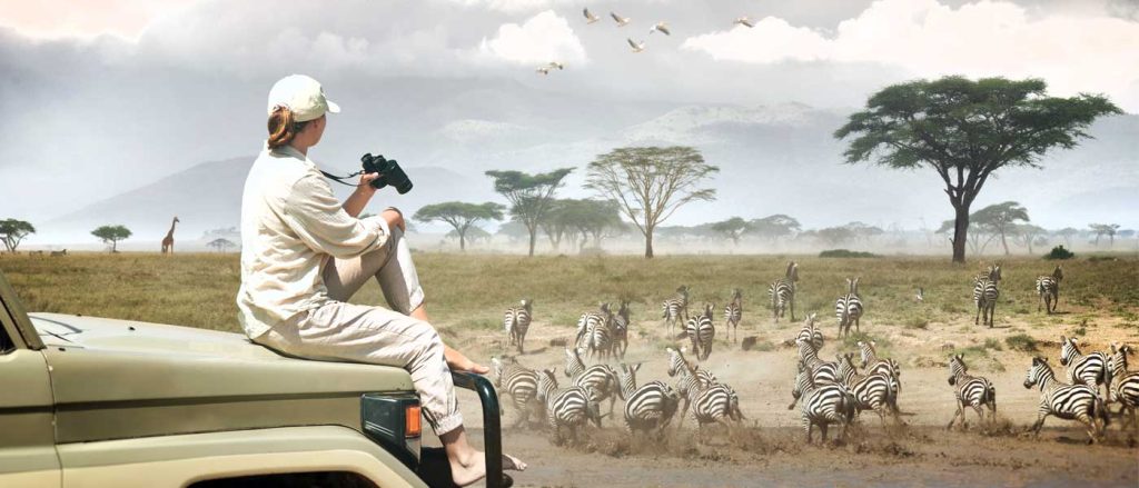 Discover Tanzania’s Stunning Parks with Customized Safari Services