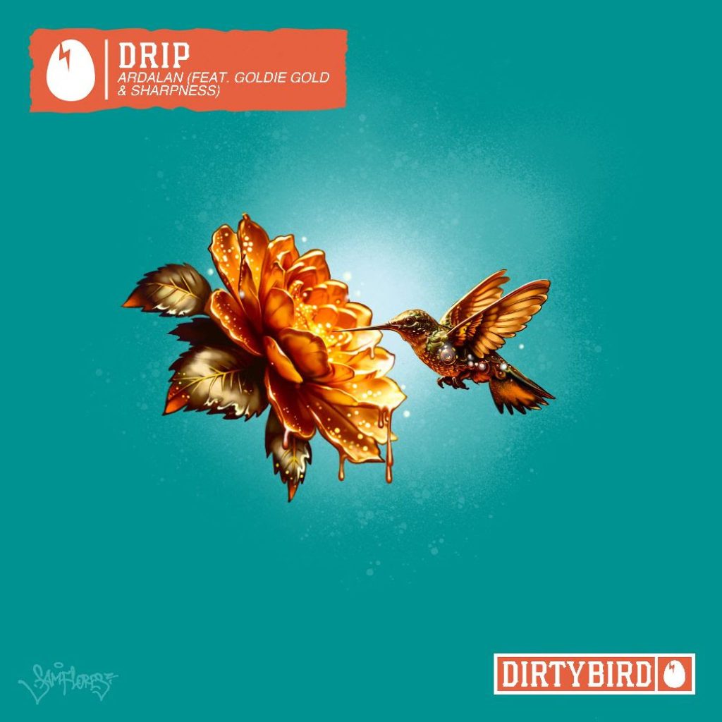 Exciting Weekly Music Releases and Festival Updates to Know