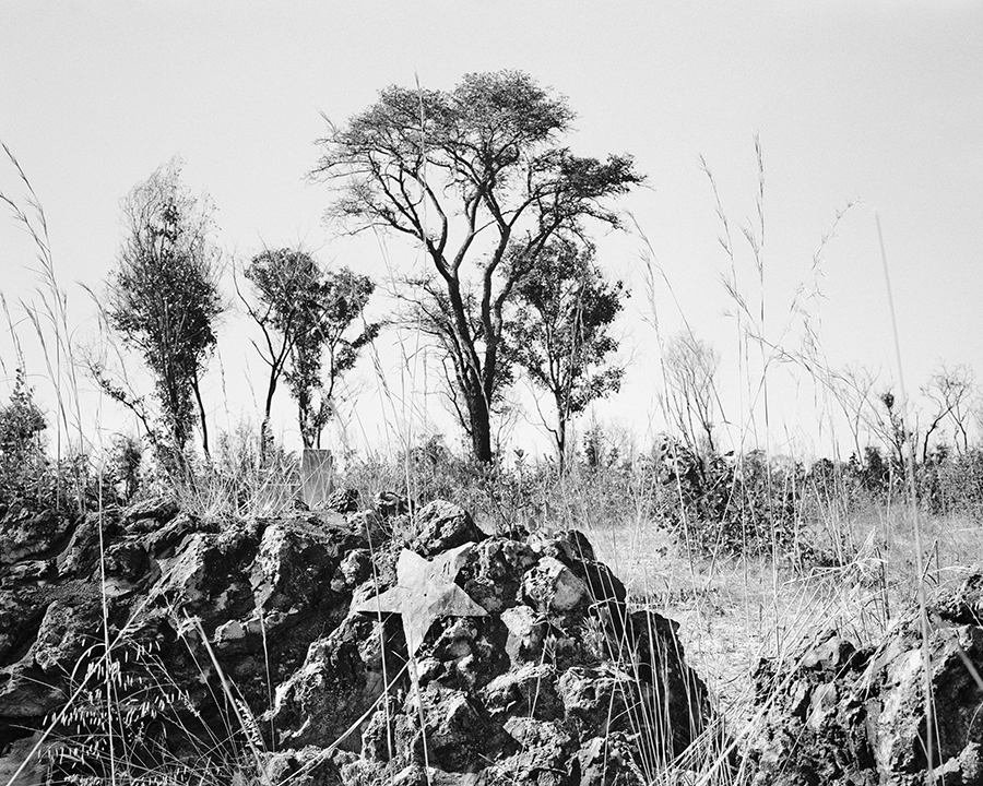 Unpacking the Art of Memory through Photography: A Dialogue Between Jo Ractliffe and Lebohang Kganye