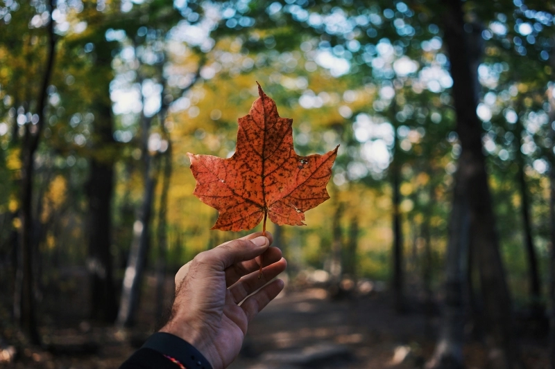How the Flourishing Tourism Sector in Canada Strengthens Economic Growth