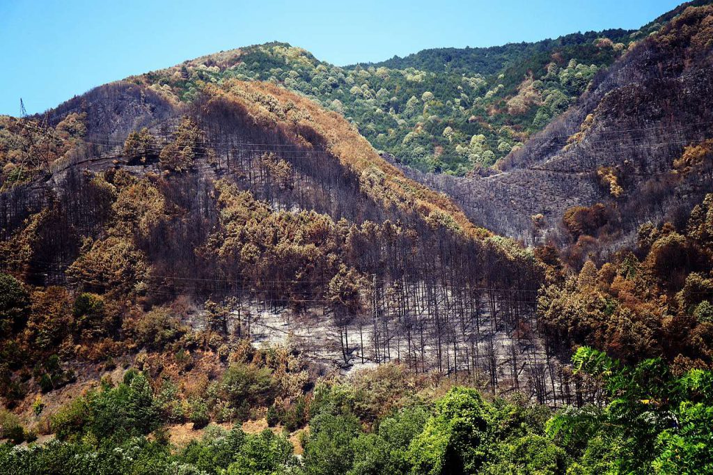 Fethiye’s Eco-Friendly Initiatives and Their Influence on Travel