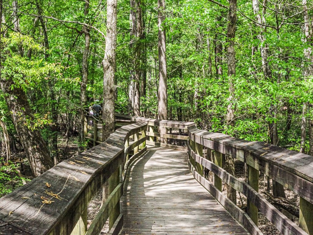 Lynches River County Park: A Premier Natural Attraction Honored in 2025
