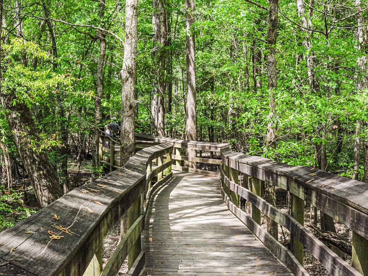 Lynches River County Park: A Premier Natural Attraction Honored in 2025