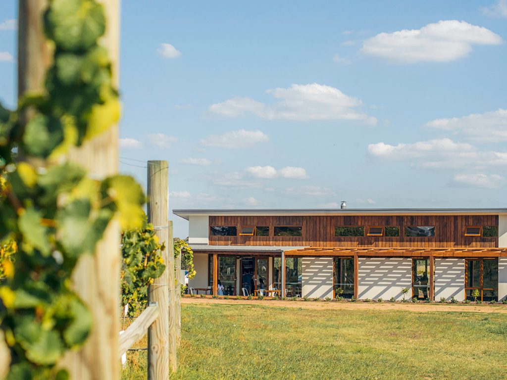 Experience the Freedom of the New Wine Hopper Tour in Canberra’s Wine Region