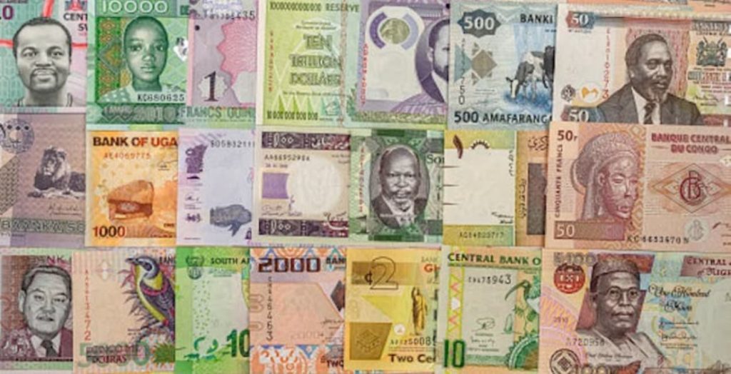 Navigating Currency Exchange Issues for Travelers in Africa