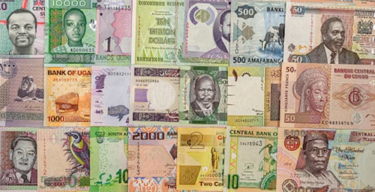 Navigating Currency Exchange Issues for Travelers in Africa