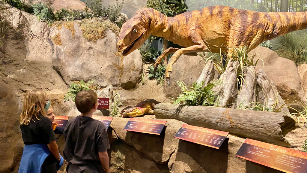 Discover the Latest Enhancements and Events at Creation Museum