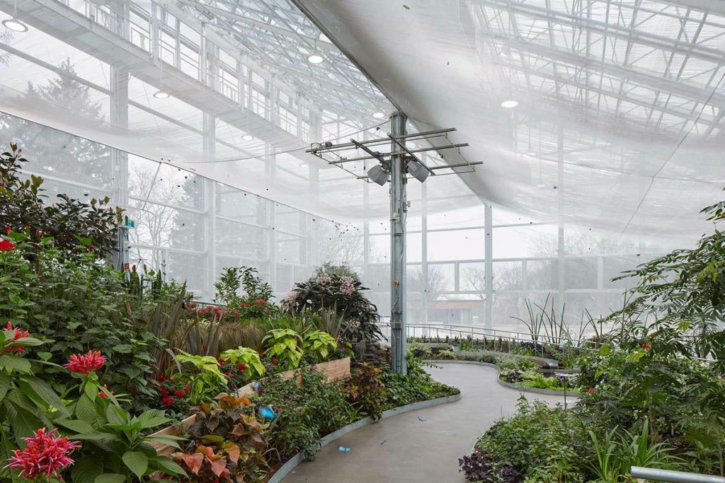 Creation Museum’s Enchanting Butterfly House Welcomes Guests