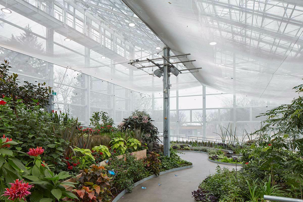 Creation Museum’s Enchanting Butterfly House Welcomes Guests