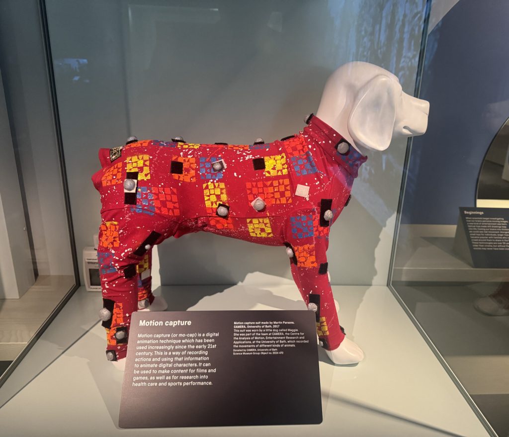 Exploring the Most Beloved Exhibits in the Sound and Vision Collection