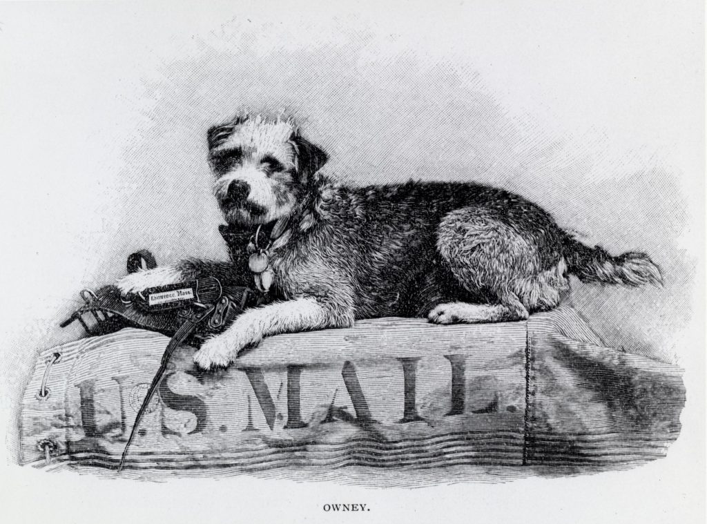 The Story of Owney: The Postal Dog of St. Louis