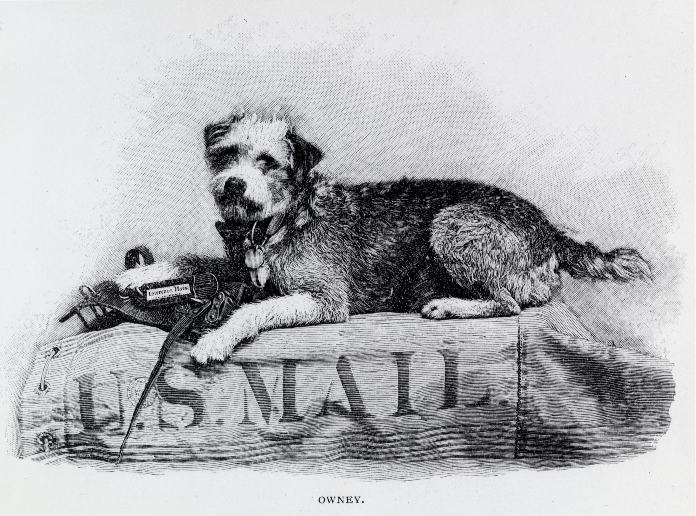 The Story of Owney: The Postal Dog of St. Louis