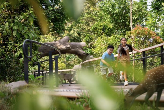Collaboration Between Singapore Airlines Group and Mandai Wildlife Group