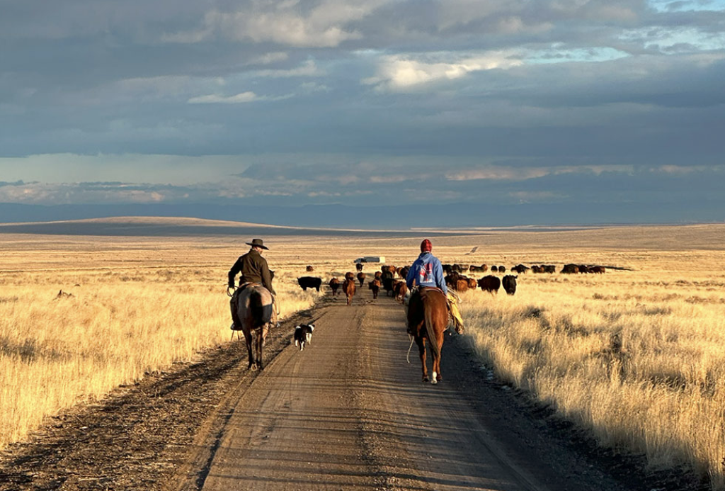 Family Connections in the Craft Traditions of Idaho