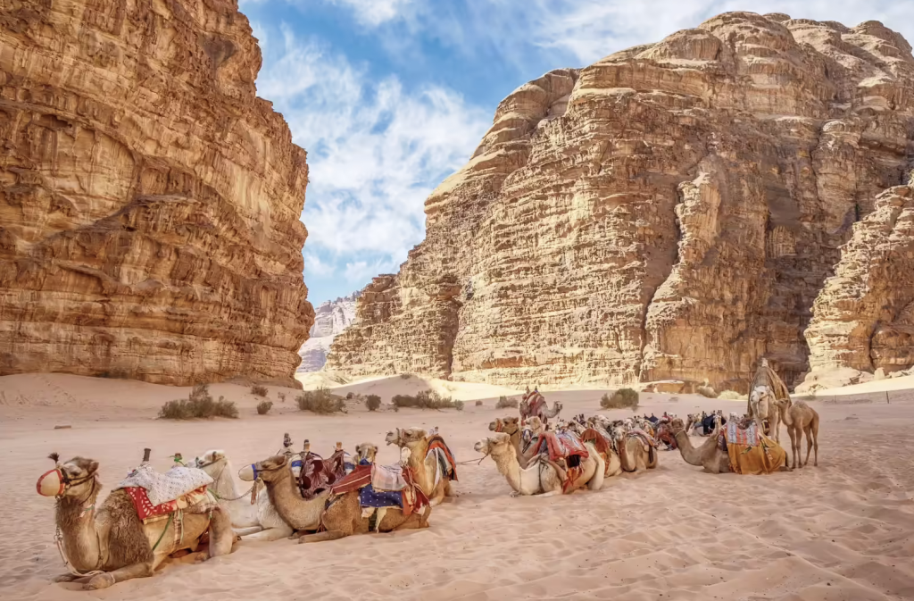Discovering the Rich Wonders of Jordan Through Virtual Experience