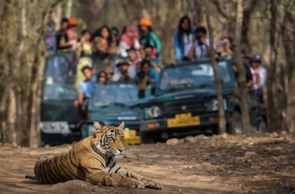 Jeep Safaris in Idukki to Reopen on July 16 with Strict Safety Protocols