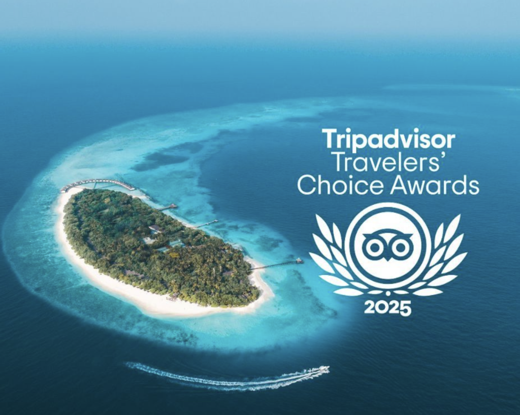 Unveiling Tripadvisor’s Top-Rated Travel Experiences and Attractions of 2025