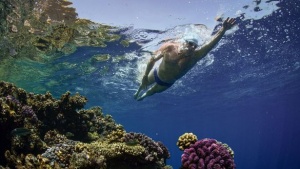 SwimTrek Partners with Lewis Pugh Foundation for Ocean Protection