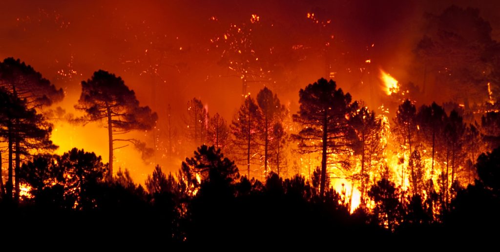 Navigating Travel Amidst Wildfires: Your Rights in Crete