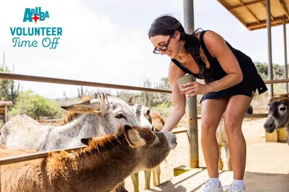 Aruba Introduces Voluntourism: A Chance to Give Back While Traveling