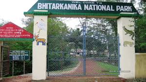 Bhitarkanika National Park Reopening: A Fresh Start for Eco-Tourism
