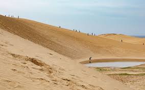 Tottori Sand Dunes Introduces Eco-Tourism to Enhance Visitor Experience