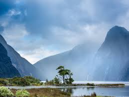 Safeguarding New Zealand’s Tourism from Chargeback Scams