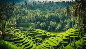 Bali’s Dominance in Indonesian Tourism Leaves Other Islands in the Shadows