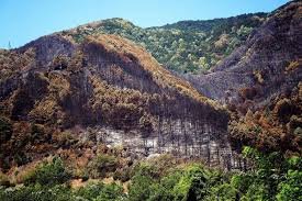 Important Environmental News and Community Initiatives in Fethiye