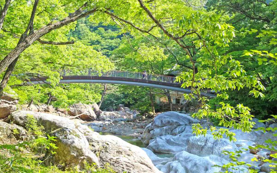 Sancheong County’s Emergence as a Premier Destination in Korea