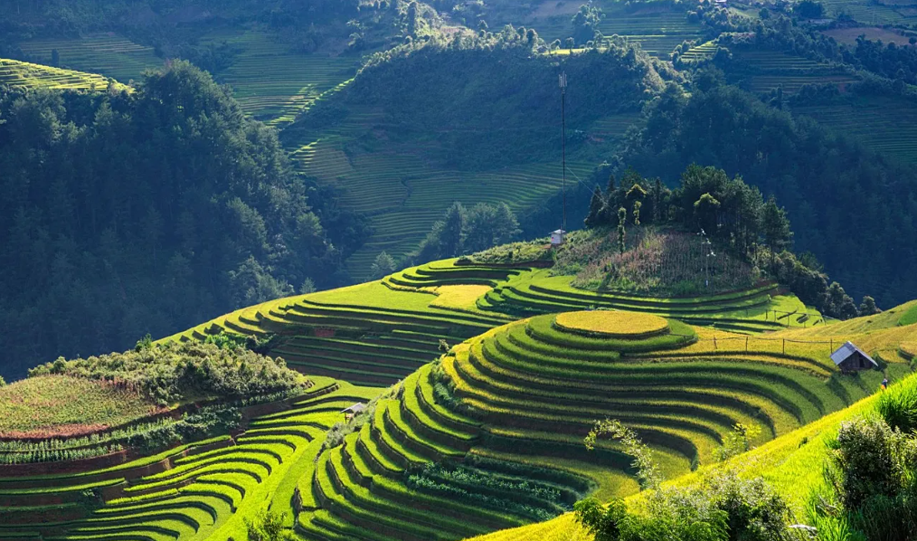 Exploring Tripchaining: A Sustainable Approach to Travel