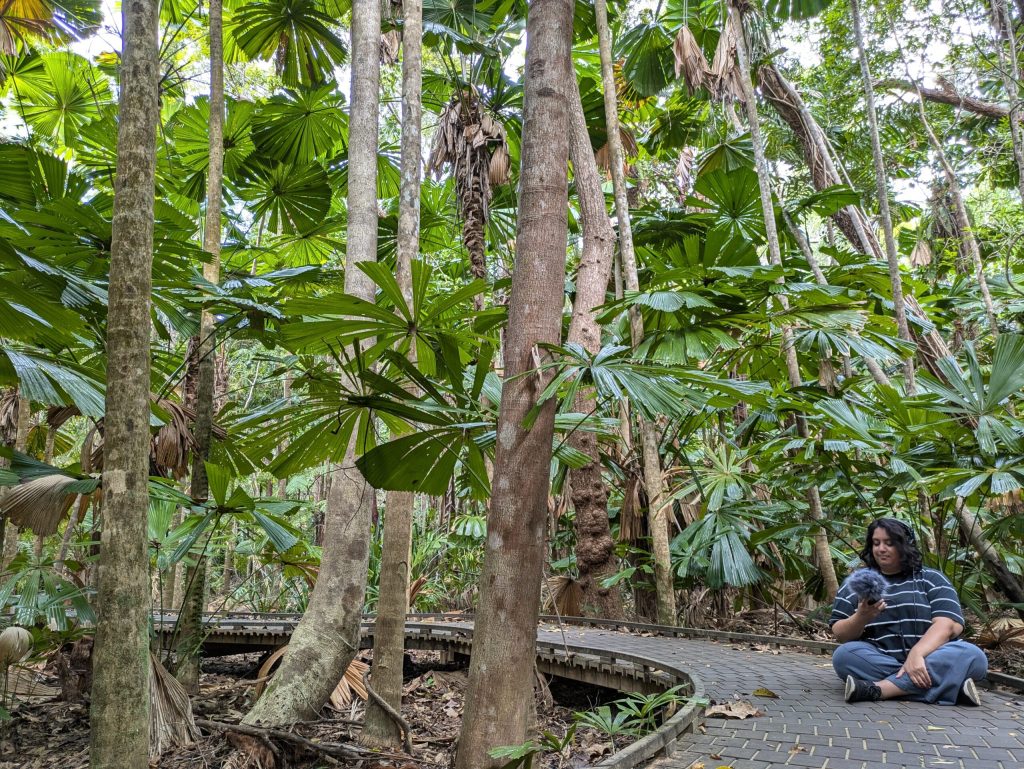 The Sounds of Nature: Engaging Young Minds Through Art and Education