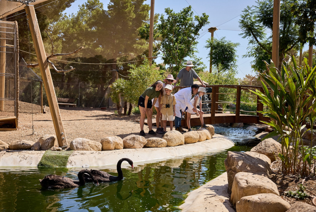 Discover the New Forte Village Nature Park: A Family-Friendly Haven