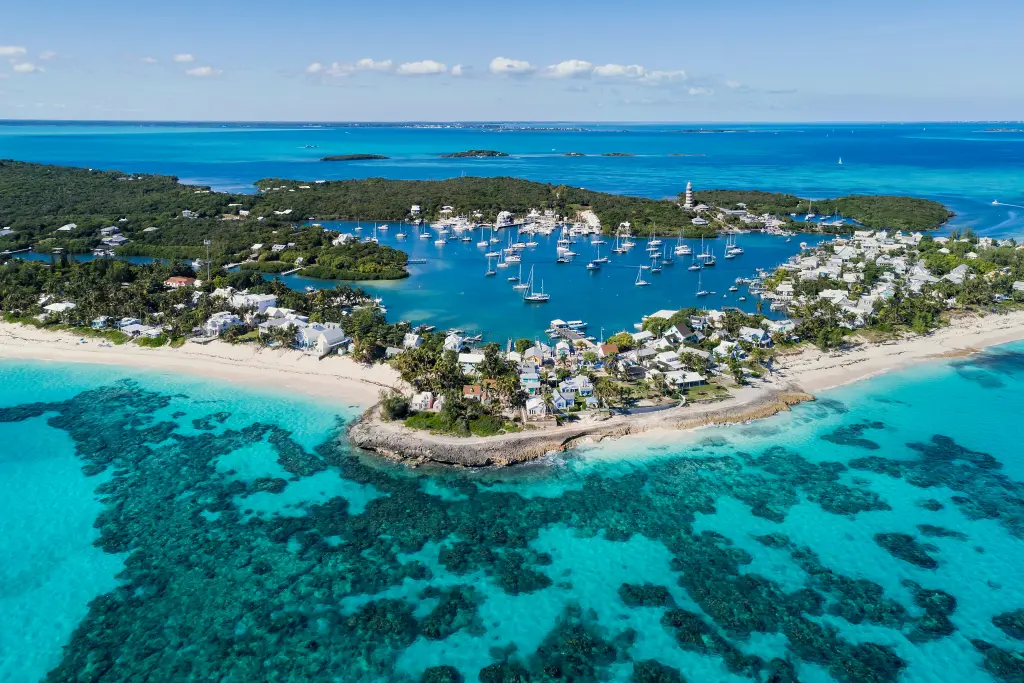 Shark Encounter in the Bahamas: A Cautionary Tale for Tourists
