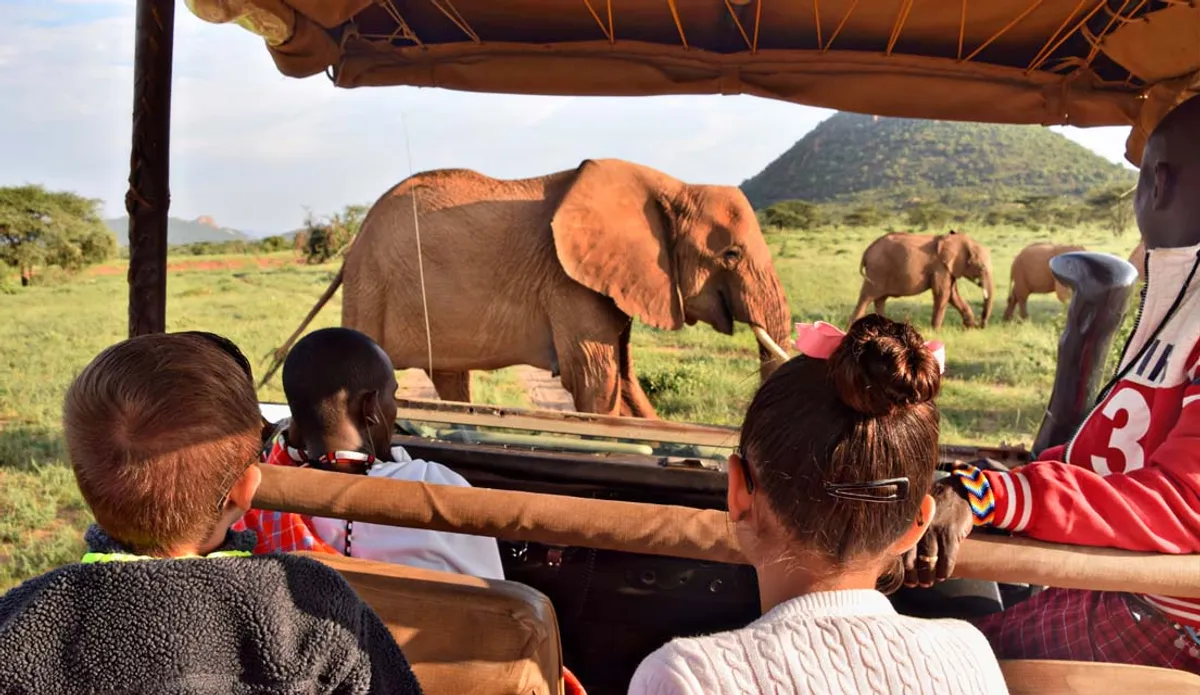 Luxury Safari Demand Sees Surge with New Opportunities for Australian Travelers
