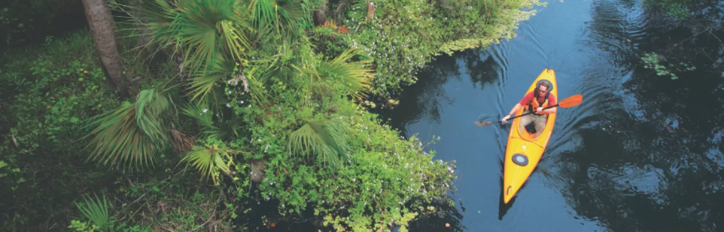 Discovering Fort Myers: A Nature Lover’s Delight