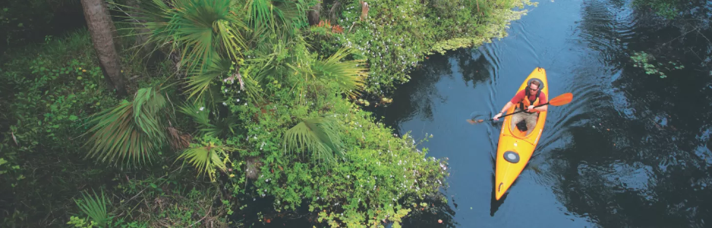 Discovering Fort Myers: A Nature Lover’s Delight