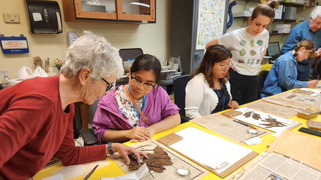 Global Collaboration in Preserving Botanical Heritage at the Penn Museum