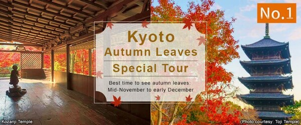 Discover Japan’s Vibrant Autumn: Foliage Delights and Soothing Hot Springs